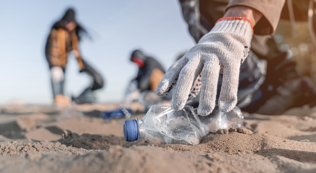 Crowd beach clean for Plastic Ocean International